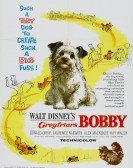 poster_greyfriars-bobby-the-true-story-of-a-dog_tt0054944.jpg Free Download