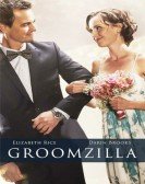 poster_groomzilla_tt5670836.jpg Free Download