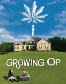 poster_growing-op_tt1105730.jpg Free Download