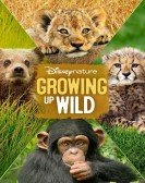 Growing Up Wild Free Download