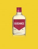 Guidance Free Download