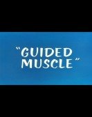 Guided Muscl Free Download