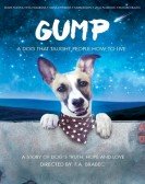 Gump Free Download