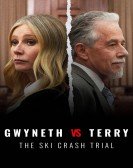 Gwyneth vs Terry: The Ski Crash Trial Free Download