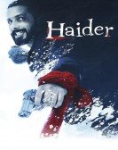 Haider Free Download