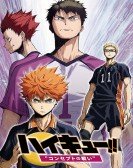 poster_haikyuu-movie-4-battle-of-concepts_tt3398540.jpg Free Download