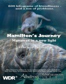 Hamilton's Journey - Manatees in a New Light poster