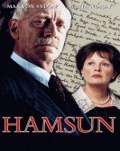 Hamsun poster