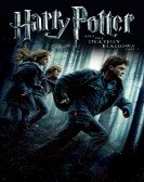 poster_harry-potter-and-the-deathly-hallows-part-1_tt0926084.jpg Free Download