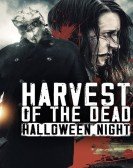 poster_harvest-of-the-dead-halloween-night_tt8571594.jpg Free Download