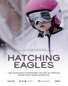 Hatching Eagles Free Download