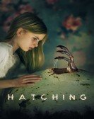 Hatching Free Download