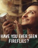 poster_have-you-ever-seen-fireflies_tt13317694.jpg Free Download