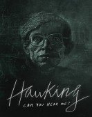 Hawking: Can You Hear Me? poster