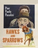 Hawks and Sparrows poster