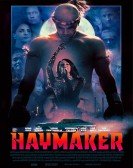 poster_haymaker_tt6736300.jpg Free Download