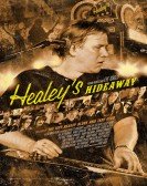 Healeys Hide poster