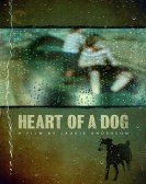 Heart of a Dog Free Download