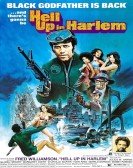 Hell Up In Harlem Free Download