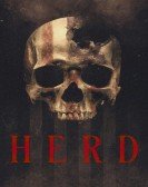 poster_herd_tt14348734.jpg Free Download