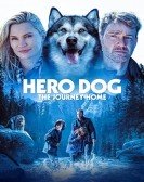 Hero Dog: The Journey Home Free Download