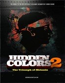 Hidden Colors 2: The Triumph of Melanin Free Download