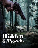 Hidden in the Woods poster