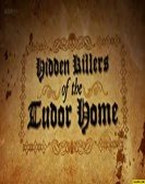 Hidden Killers Of The Tudor Home Free Download