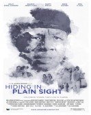 Hiding in Plain Sight Free Download