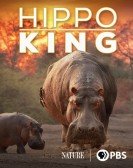 poster_hippo-king_tt18393916.jpg Free Download