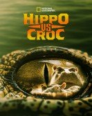 Hippo vs Croc Free Download