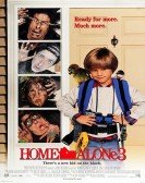 Home Alone 3 (1997) Free Download