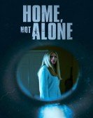 poster_home-not-alone_tt26458500.jpg Free Download