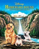 Homeward Bound: The Incredible Journey Free Download