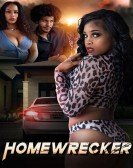 Homewrecker poster