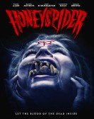 Honeyspider poster