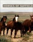 Horses of Suffield Free Download