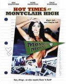 Hot Times at Montclair High poster