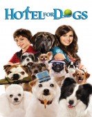 poster_hotel-for-dogs_tt0785006.jpg Free Download