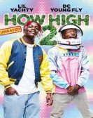 How High 2 Free Download