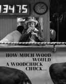 poster_how-much-wood-would-a-woodchuck-chuck_tt0074650.jpg Free Download