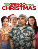 poster_how-the-gringo-stole-christmas_tt14034732.jpg Free Download