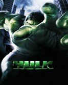 Hulk poster