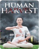 Human Harvest Free Download