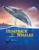 Humpback Whales (2015) poster