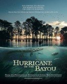 Hurricane on the Bayou Free Download