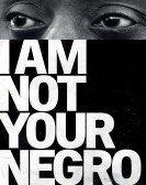 poster_i am not your negro_tt5804038.jpg Free Download