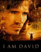 I Am David poster