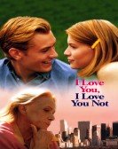 I Love You, I Love You Not poster