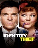 Identity Thief (2013) Free Download